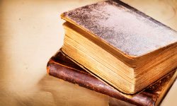 Suspendisse arcu nisl